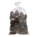 Maritima cones 14/18 natural 25 pcs | Floristik24.co.uk