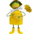 Floristik24 Frog decorative figure garden decoration rain frog metal H35cm