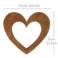 Floristik24 Heart rust garden decoration metal heart 10cm 12pcs