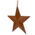 Floristik24 Metal star for hanging rust 21cm