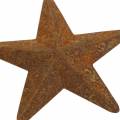 Floristik24 Metal star rust patina 5cm 24pcs