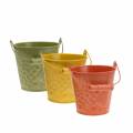 Floristik24 Decorative bucket fruits yellow, orange, green washed Ø12.5cm H12cm set of 3