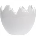 Floristik24 Mini plant pot eggshell white Ø8cm H7cm 4pcs