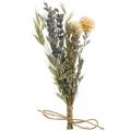 Floristik24 Mini bouquet of dried flowers boho, dried flowers floristry L22cm