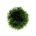 Floristik24 Mini grass ball green artificial plant round Ø10cm 1pc