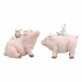 Floristik24 Decorative figure set piggy with animal friends 9.3cm × 7.5 / 8.5cm 2pcs
