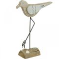 Floristik24 Sea decoration, deco seagull made of wood, shabby chic, blue and white H32cm