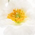 Artificial Poppy Flower White
