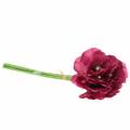 Floristik24 Poppy purple 29cm 6pcs
