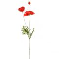 Floristik24 Poppy decoration garden flower with 3 flowers red L70cm