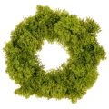 Floristik24 Artificial Green Moss Wreath for Table or Door Decoration 28cm