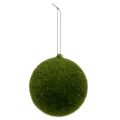 Floristik24 Moss ball Ø8cm green 6pcs