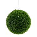 Floristik24 Moss ball green with mica Ø15cm
