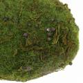 Floristik24 Decorative moss bales artificially 10cm