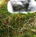 Floristik24 Moss cushion for planting 20cm x 20cm 3pcs
