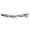 Floristik24 Cork oak twigs Muruku twigs white 100cm 10p