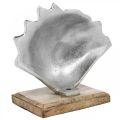 Floristik24 Shell to set up, maritime metal decoration with wooden base silver, natural 16 × 19cm