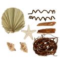 Floristik24 Shell and starfish mix for handicrafts 150g