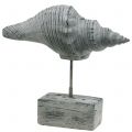 Floristik24 Garden figurine shell on a stand H30cm