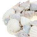 Floristik24 Shell wreath white Ø14cm