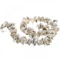 Floristik24 Garland with shells, maritime decoration, summer, shell necklace natural colors L130cm