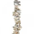 Floristik24 Garland with shells, maritime decoration, summer, shell necklace natural colors L130cm