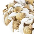 Floristik24 Shell wreath maritime hanging decoration coconut natural white Ø25cm