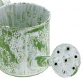Floristik24 Planter watering can with butterflies galvanized green-white H10cm
