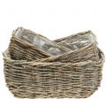 Floristik24 Rectangular plant basket, natural-white washed L33cm, set of 3