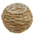 Floristik24 Basket ball for planting light brown Ø21cm