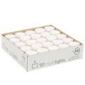 Nightlights Tealights White in Plastic Tray 8 Hours 50 Pieces | Floristik24.co.uk