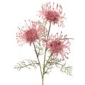 Floristik24 Artificial Protea Pincushion Flower Stem Set of 3 – 65cm, Pink and Green