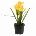 Floristik24 Daffodil in a pot daffodil yellow artificial flower H21cm