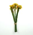 Floristik24 Narcissus Bouquet in yellow 35cm 3pcs