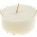 Floristik24 Tealights Pure Nature Lights burning time 10 hours candles rapeseed wax 8pcs