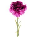 Floristik24 Carnation Artificial Flowers Two-Tone Long Stem 56cm Bundle of 8
