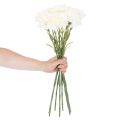 Artificial Carnation Stem Set, 56cm, White, 8 Pieces for Bouquets and Wreaths | Floristik24.co.uk
