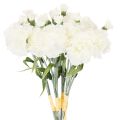 Floristik24 Kunstnelken Bouquet White 40cm, 4 Bunches