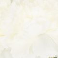 Kunstnelken Bouquet White