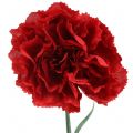 Floristik24 Carnation artificial red 67cm 9pcs