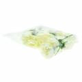 Floristik24 Carnation Blossom White Ø9cm 12pcs