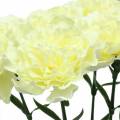 Floristik24 Carnation artificial white 6pcs