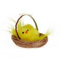 Floristik24 Decorative nest with chenille chick yellow 5cm 4pcs