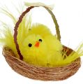 Floristik24 Decorative nest with chenille chick yellow 5cm 4pcs
