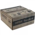 Floristik24 OASIS® TerraBrick™ plug-in compound compostable 8pcs
