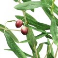Floristik24 Artificial olive branch decorative branch with olives 100cm