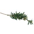 Floristik24 Olive branch artificial decorative branch olive decoration 84cm