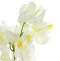 Floristik24 Artificial orchid cream 50cm 6pcs