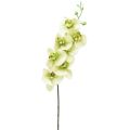 Floristik24 Orchid Artificial Yellow Green Phalaenopsis L83cm
