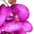 Floristik24 Orchid Artificial Phalaenopsis 4 Flowers Fuchsia 72cm
